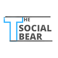 The Social Bear Digital Marketing and IT Soluton Logo