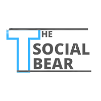 Contact Us 1 The Social Bear Digital Marketing and IT Soluton Logo